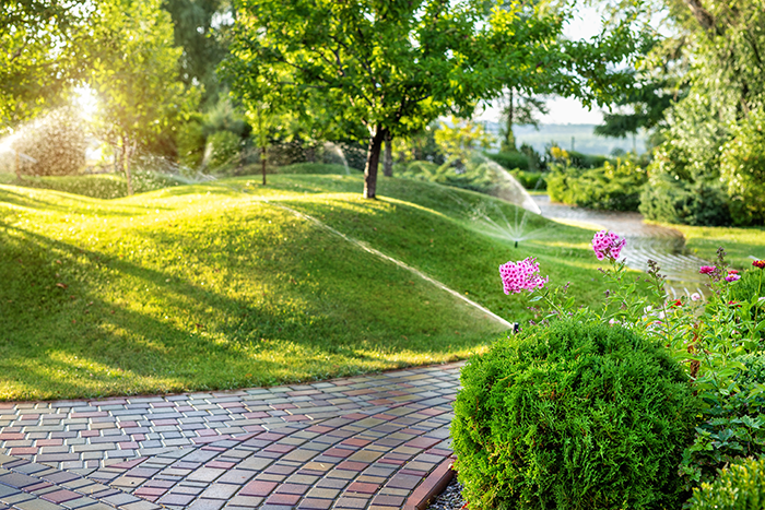 walkway with sprinkler | irrigation services