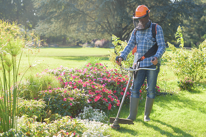 grass cutting | landscaping maintenance services