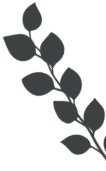 charcoal gray leaf